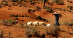 il Marocco