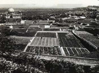 Giardini